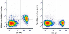 Purified anti-mouse CD96 (TACTILE) Recombinant Antibody (162402)