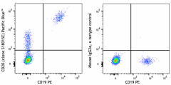 Pacific Blue™ anti-human CD20 Antibody (375515)