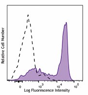 Brilliant Violet 605™ anti-mouse Ly-6G Antibody (127639)