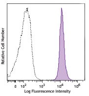 Brilliant Violet 570™ anti-mouse CD45.2 Antibody (109833)