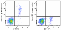 Purified anti-human CD24 Recombinant Antibody (386602)