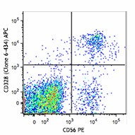 APC anti-human CD328 (Siglec-7) Antibody (339205)