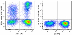 PE anti-human IFN-γ Antibody (383303)
