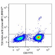 Brilliant Violet 510™ anti-human TCR Vα24-Jα18 (iNKT cell) Antibody (342918)