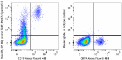 PerCP/Cyanine5.5 anti-human HLA-DR, DP, DQ Antibody (361709)
