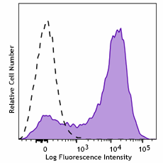 Purified anti-mouse CD115 (CSF-1R) Antibody (165202)