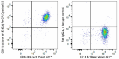 PerCP/Cyanine5.5 anti-human CD11b Antibody (340011)