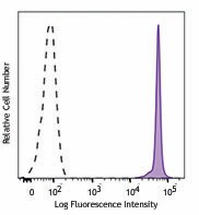 Brilliant Violet 510™ anti-mouse CD90.2 (Thy1.2) Antibody (105335)