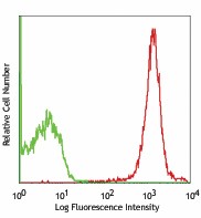 PE anti-rat CD47 Antibody (204108)