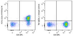 PE anti-human FLT3L Antibody (345603)