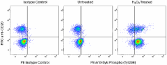 PE anti-Syk Phospho (Tyr296) Recombinant Antibody (949303)