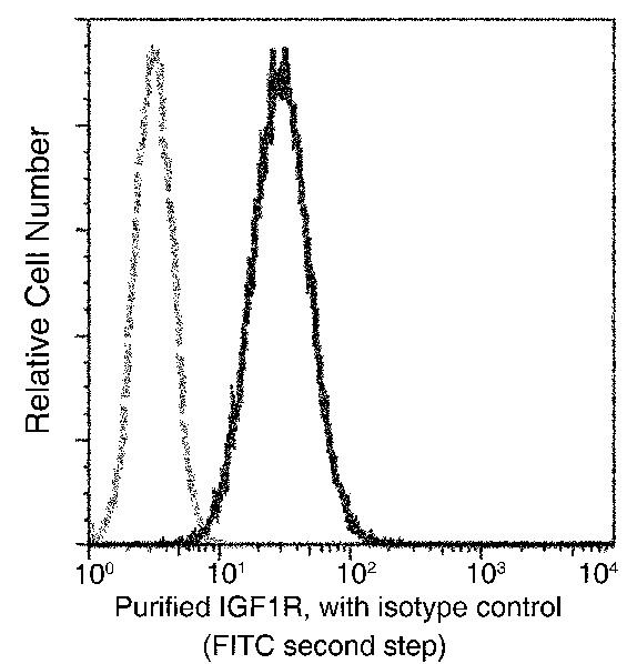 Recombinant IGF1R/CD221 Monoclonal Antibody (AN300050P)