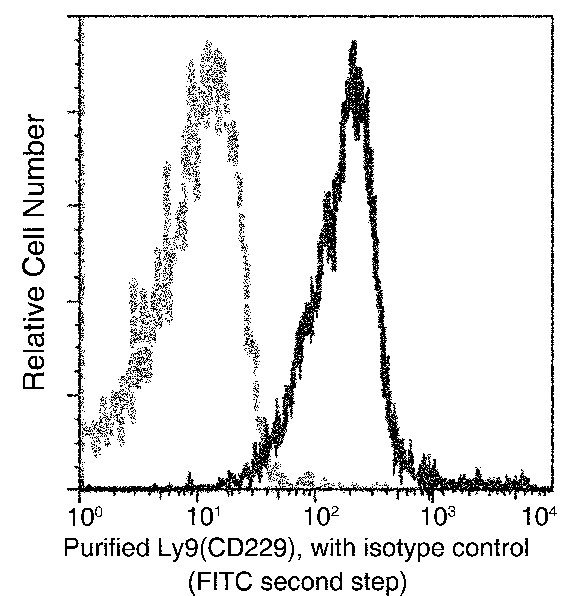 Recombinant LY9/CD229/SLAMF3 Monoclonal Antibody (AN300526P)