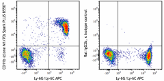 Spark PLUS B550™ anti-mouse/human CD11b Antibody (101246)