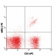 Purified anti-mouse TCR Vβ8.1, 8.2 Antibody (140102)