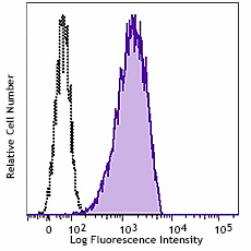 Purified anti-mouse CD204 Antibody (154702)