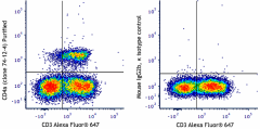 Purified anti-pig CD4a Antibody (250002)