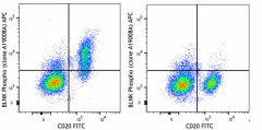 APC anti-human BLNK Phospho (Tyr96) Antibody (382205)