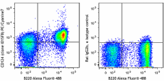 PE/Cyanine7 anti-mouse CD124 (IL-4Rα) Antibody (144805)