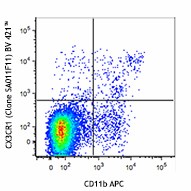 Brilliant Violet 421™ anti-mouse CX3CR1 Antibody (149023)