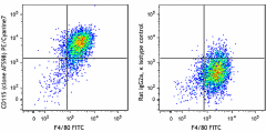 PE/Cyanine7 anti-mouse CD115 (CSF-1R) Antibody (135523)