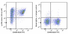 APC anti-mouse Ly108 Antibody (134609)