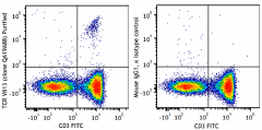 Purified anti-mouse TCR Vβ13 Recombinant Antibody (104202)