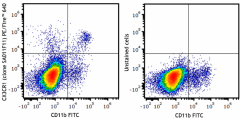 PE/Fire™ 640 anti-mouse CX3CR1 Antibody (149055)