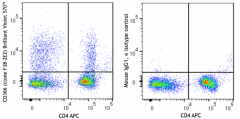 Brilliant Violet 570™ anti-human CD366 (Tim-3) Antibody (345067)