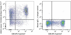 Brilliant Violet 711™ anti-human CD223 (LAG-3) Antibody (369319)