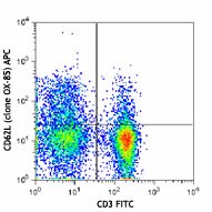 APC anti-rat CD62L Antibody (202916)