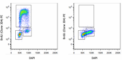 PE anti-BrdU Antibody (364115)