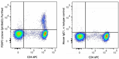 Purified anti-human FOXP3 Recombinant Antibody (364702)