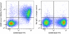 PE/Cyanine7 anti-mouse CD289 (TLR9) Antibody (159109)
