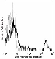 PE/Cyanine7 anti-human CD20 Antibody (302311)