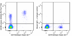 PE/Fire™ 744 anti-human CD185 (CXCR5) Antibody (356967)