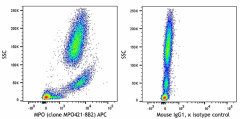 APC anti-human MPO Antibody (347209)