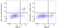Pacific Blue™ anti-mouse/rat XCR1 Antibody (148241)
