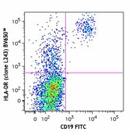 Brilliant Violet 650™ anti-human HLA-DR Antibody (307649)