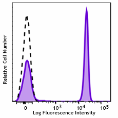 GMP APC anti-human CD4 Antibody (260024)
