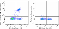 APC/Cyanine7 anti-mouse CD8b.2 Antibody (140421)