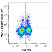 Brilliant Violet 421™ anti-mouse IFN-γ Antibody (505829)