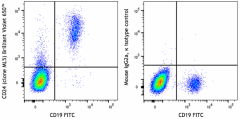 Brilliant Violet 650™ anti-human CD24 Antibody (311151)