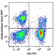 Brilliant Violet 570™ anti-human CD56 (NCAM) Antibody (318329)