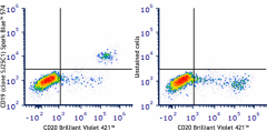 Spark Blue™ 574 anti-human CD19 Antibody (363047)