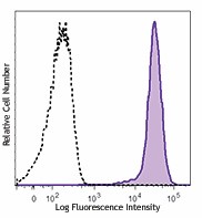 APC anti-human CD276 (B7-H3) Antibody (351005)