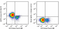 PE anti-ZAP70 Antibody (691203)