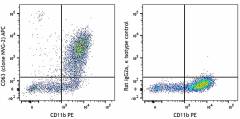 APC anti-mouse CD63 Antibody (143905)