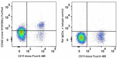 Purified anti-human CD360 (IL-21R) Antibody (376102)