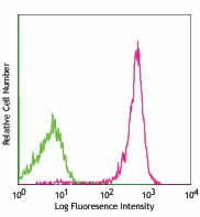 Alexa Fluor® 488 anti-rat CD45 Antibody (202210)